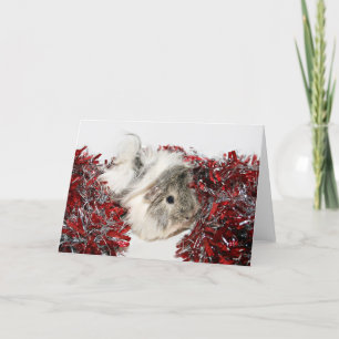 クリスマスのモルモット シーズンカード