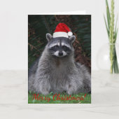 クリスマスのラクーン in サンタ帽 フォト シーズンカード (正面)