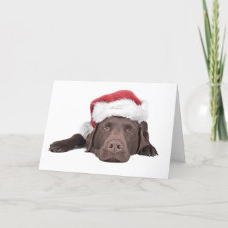 クリスマスのラブラドールの挨拶状 シーズンカード