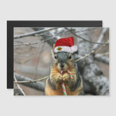 クリスマスのリス (正面/裏面)