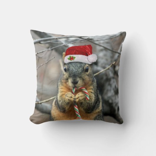クリスマスのリス クッション (正面)