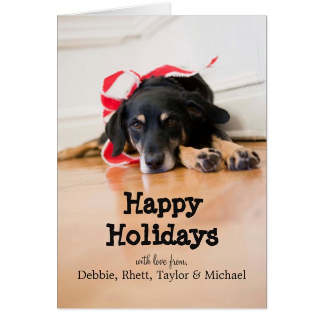 クリスマスのリボンを持つ犬 (正面)