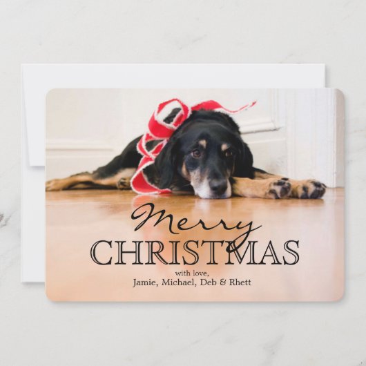 クリスマスのリボンを持つ疲れた犬 シーズンカード (正面)