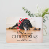 クリスマスのリボンを持つ疲れた犬 シーズンカード (スタンド正面)