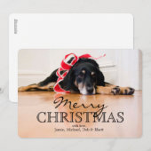 クリスマスのリボンを持つ疲れた犬 シーズンカード (正面/裏面)