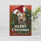 クリスマスのリースに坐っている柴犬犬 シーズンカード (スタンド正面)