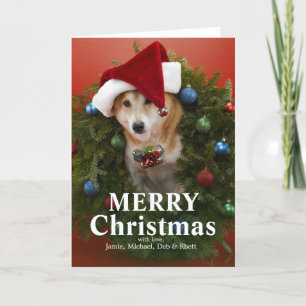 クリスマスのリースに坐っている柴犬犬 シーズンカード