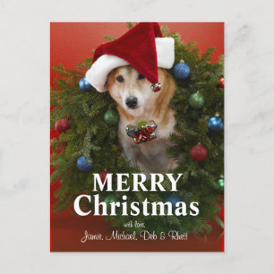 クリスマスのリースに坐っている柴犬犬 シーズンポストカード