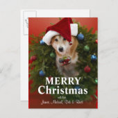 クリスマスのリースに坐っている柴犬犬 シーズンポストカード (正面/裏面)