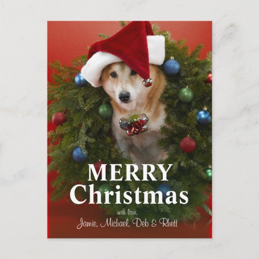 クリスマスのリースに坐っている柴犬犬 シーズンポストカード (正面)