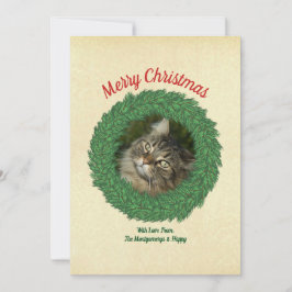 クリスマスのリースに飾られた猫のペットフォト シーズンカード