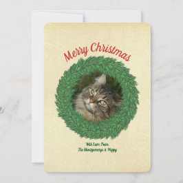 クリスマスのリースに飾られた猫のペットフォト シーズンカード