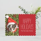 クリスマスのリースを身に着けているボストンテリア犬 シーズンカード (スタンド正面)
