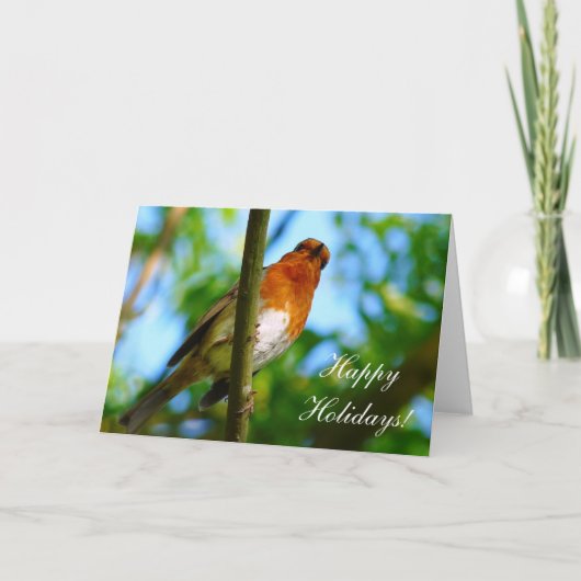 クリスマスのロビン シーズンカード (正面)