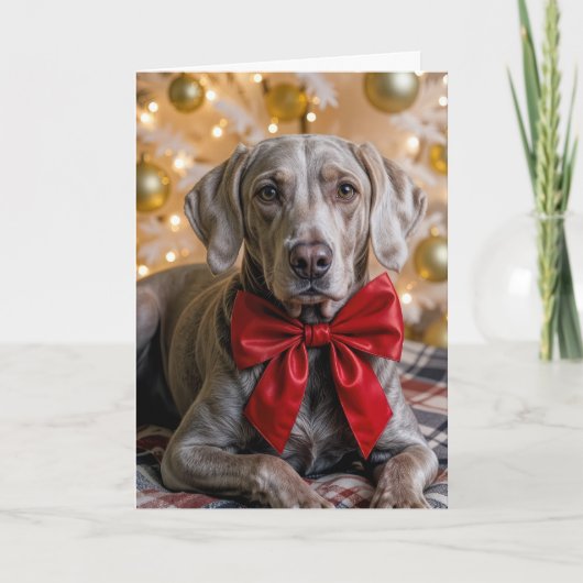 クリスマスのヴァイマラナー犬 赤いリボン カード (正面)