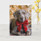 クリスマスのヴァイマラナー犬 赤いリボン カード (黄色い花)