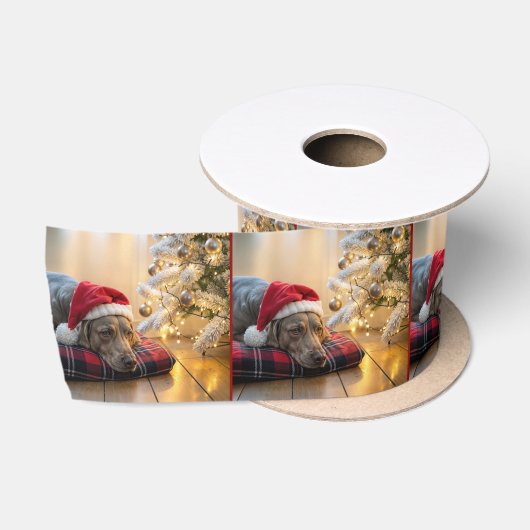 クリスマスのヴァイマラナー ツリーのそばに サテンリボン (リール)