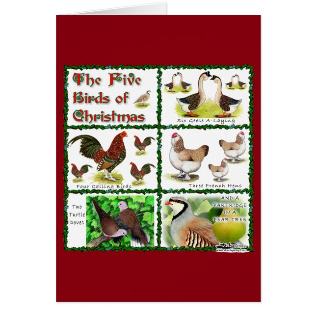 クリスマスの五鳥 (正面)