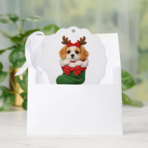 クリスマスの仔犬のニット