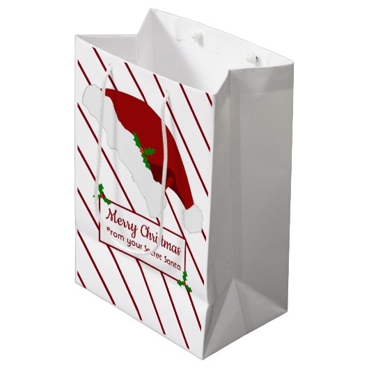 クリスマスの仕事のための秘密のサンタのギフトバッグ ミディアムペーパーバッグ (正面アングル)