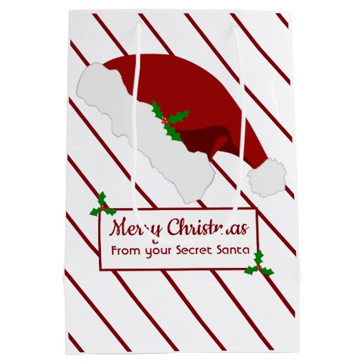 クリスマスの仕事のための秘密のサンタのギフトバッグ ミディアムペーパーバッグ (裏面)