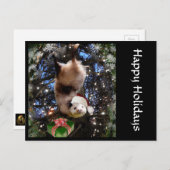 クリスマスの休日のふくろねずみの郵便はがき シーズンポストカード (正面/裏面)