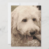 クリスマスの休日の写真 シーズンカード (裏面)