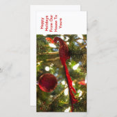 クリスマスの休日の挨拶状 シーズンカード (正面/裏面)