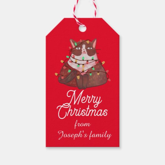クリスマスの光が輝く可愛い猫 ギフトタグ (正面)