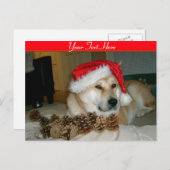 クリスマスの円錐形が付いているサンタの赤い帽子のかわいい秋田 シーズンポストカード (正面/裏面)