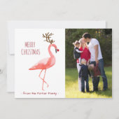 クリスマスの写真カードおもしろいなルドルフのフラミンゴ シーズンカード (正面)