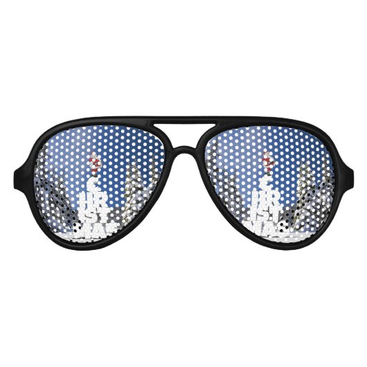 クリスマスの冬の景色 アビエーターサングラス (正面)