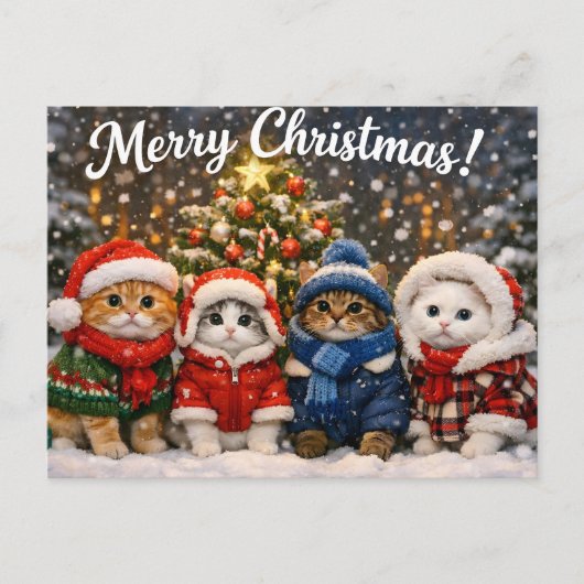 クリスマスの冬用セーターを着たかわいい猫 シーズンポストカード (正面)