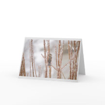 クリスマスの凍らされた枝の動物の鳥のすずめ