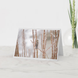 クリスマスの凍らされた枝の動物の鳥のすずめ シーズンカード