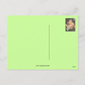 クリスマスの出生場面メリー及びベビーイエス・キリスト シーズンポストカード (裏面)