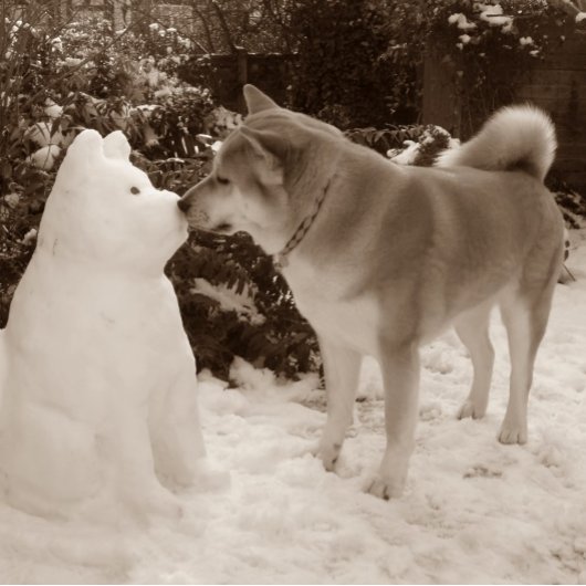 クリスマスの可愛いキスをする秋田犬雪だるま カフェラテマグ