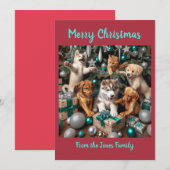 クリスマスの可愛い子犬と子猫 シーズンカード (正面/裏面)