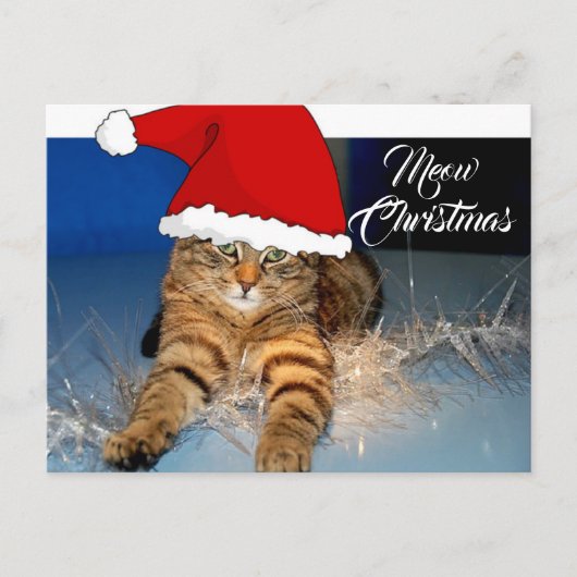 クリスマスの可愛い猫の絵はがき、ホリデーグリーティング付き ポストカード (正面)