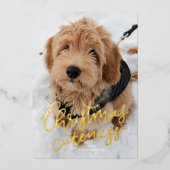 クリスマスの可愛さ1枚かわいいペット 箔シーズンカード (正面)