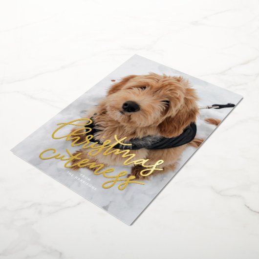 クリスマスの可愛さ1枚かわいいペット 箔シーズンカード (回転した状態)