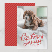 クリスマスの可愛さ ぬいぐるみペット クリスマスカード