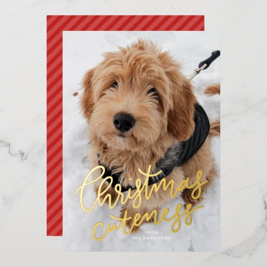 クリスマスの可愛さ ワンフォト かわいいペット 箔シーズンカード (正面/裏面)