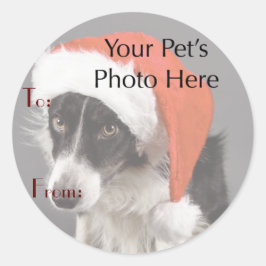 クリスマスの名札のペットの写真 ラウンドシール