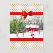 クリスマスの喜びと平和の写真 シーズンポストカード (正面)