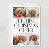 クリスマスの喜びを呼び寄せる犬の写真 ホワイト シーズンカード (正面)