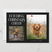 クリスマスの喜びを届ける黒い犬の写真  シーズンカード (正面)