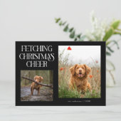 クリスマスの喜びを届ける黒い犬の写真  シーズンカード (スタンド正面)