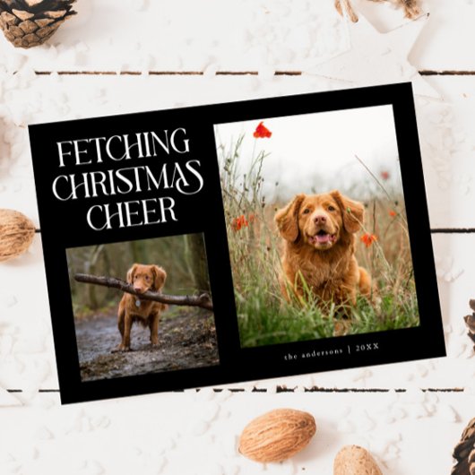 クリスマスの喜びを届ける黒い犬の写真  シーズンカード