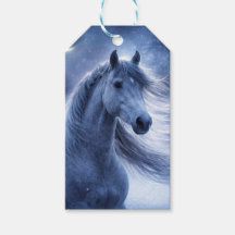 クリスマスの夜の可愛い馬
